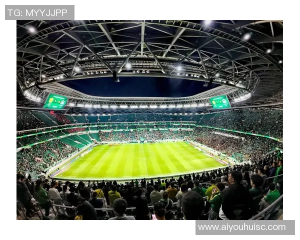 中超未来专业足球场建设展望与发展趋势分析 中超未来专业足球场建设展望与发展趋势分析