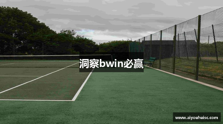 洞察bwin必赢